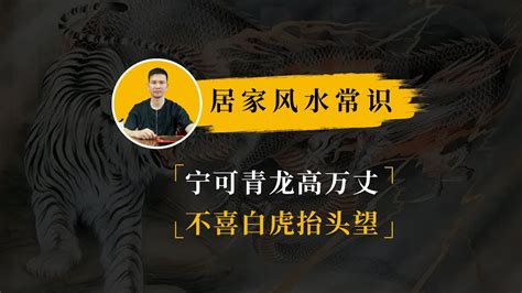 宁可青龙高万丈|宁可青龙高万丈,不可白虎抬头望什么意思